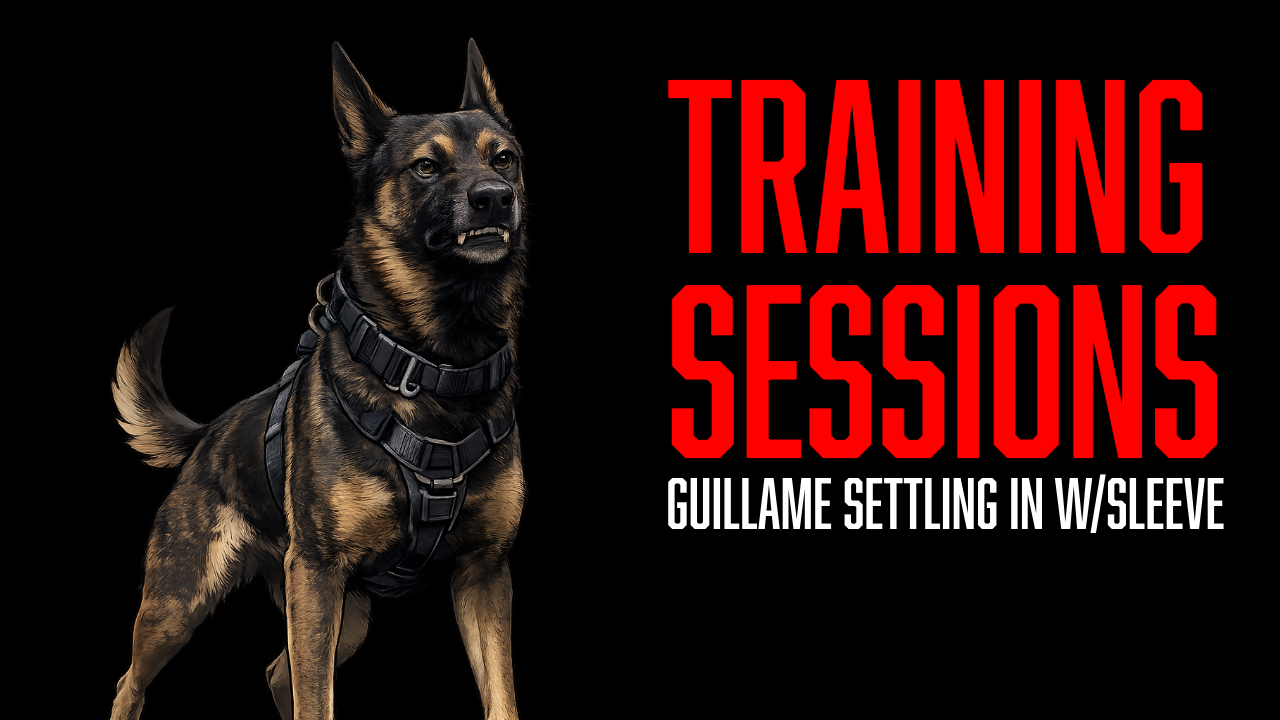 Guillame's Confidence Continues to Grow Through Bite Work Training