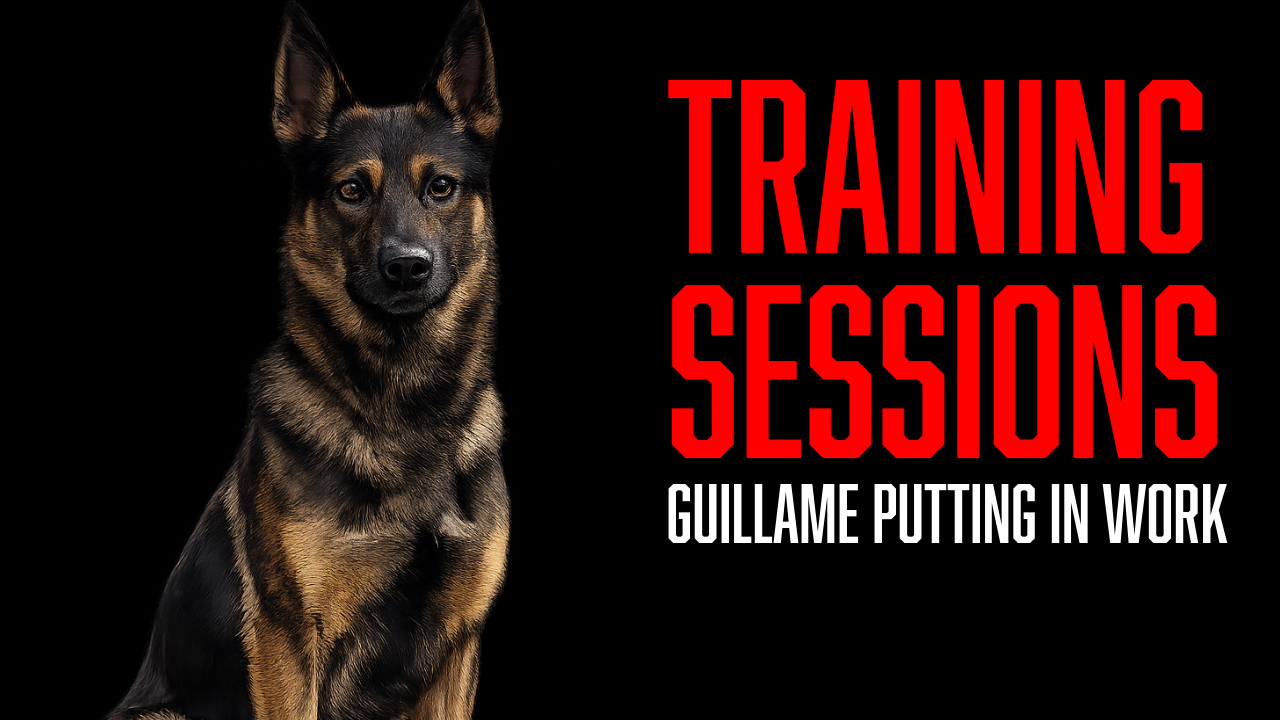 Building Fuller Grips and Forward Aggression With Guillame