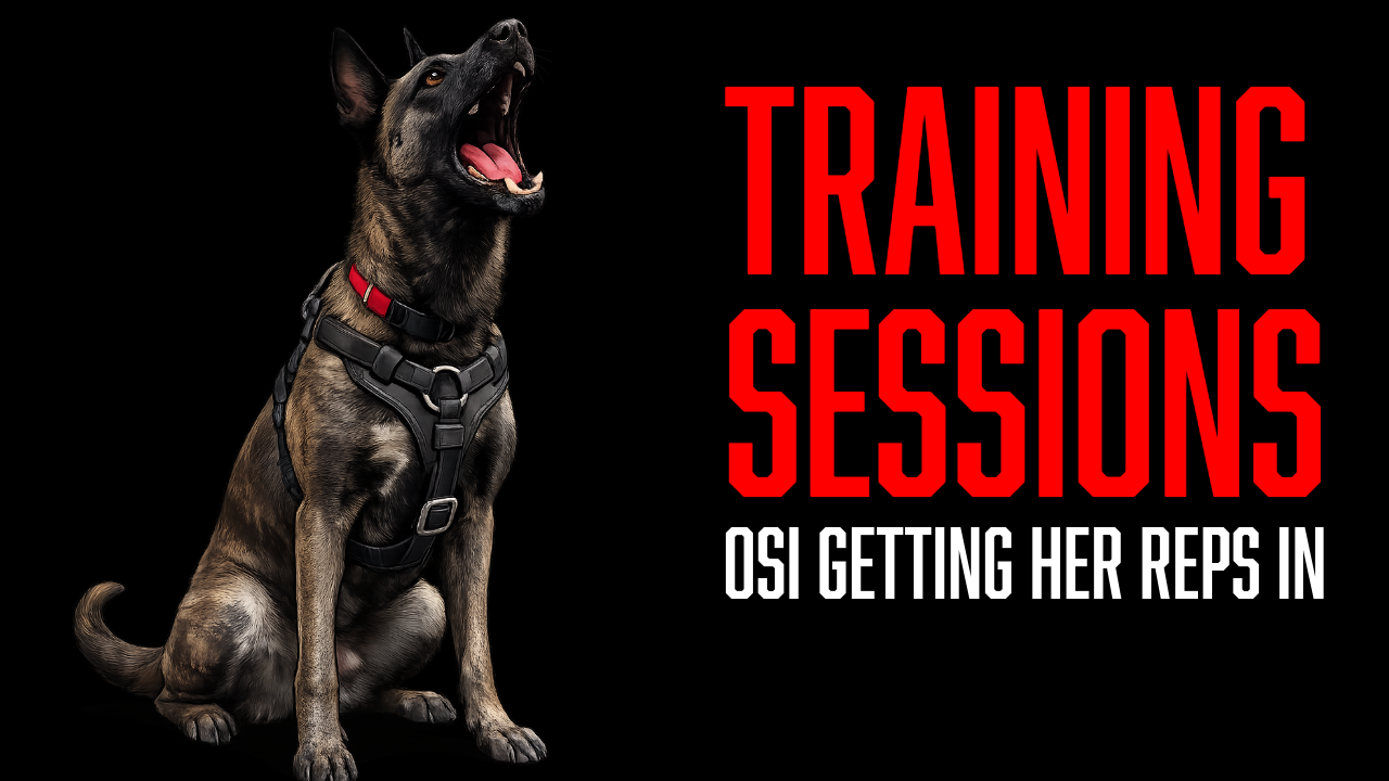 Building Forward Drive and Fuller Grips With Osi