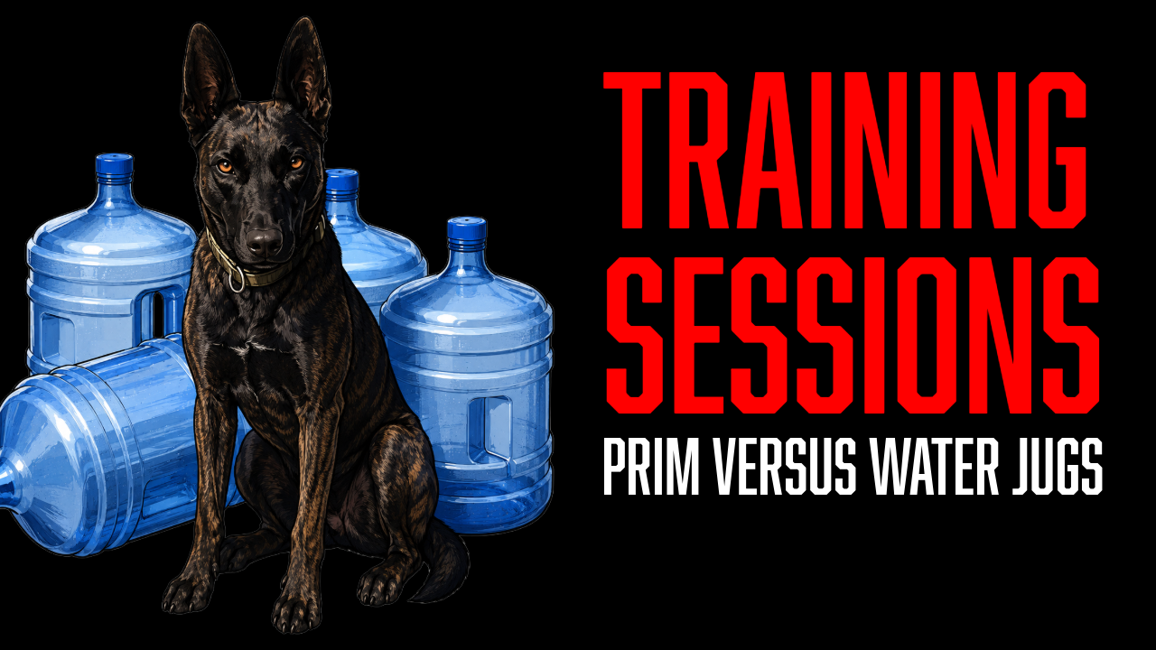 Developing Primary and Secondary Targeting With Prim