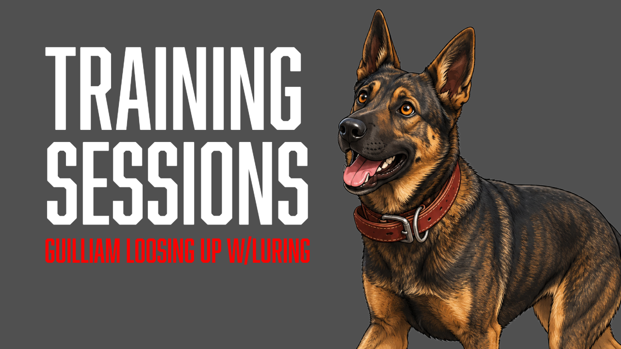Building Engagement and Expression in Guillame’s Advanced Obedience