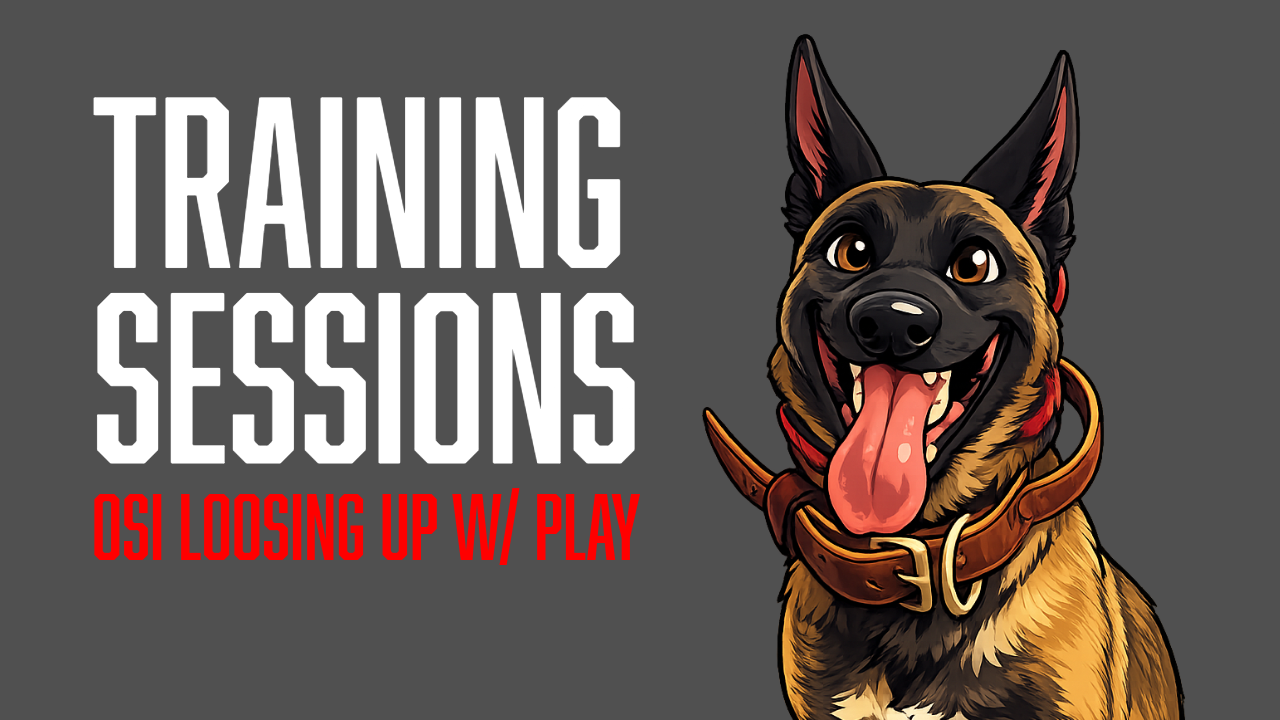 Building Energy and Expression in Osi’s Obedience Through Play