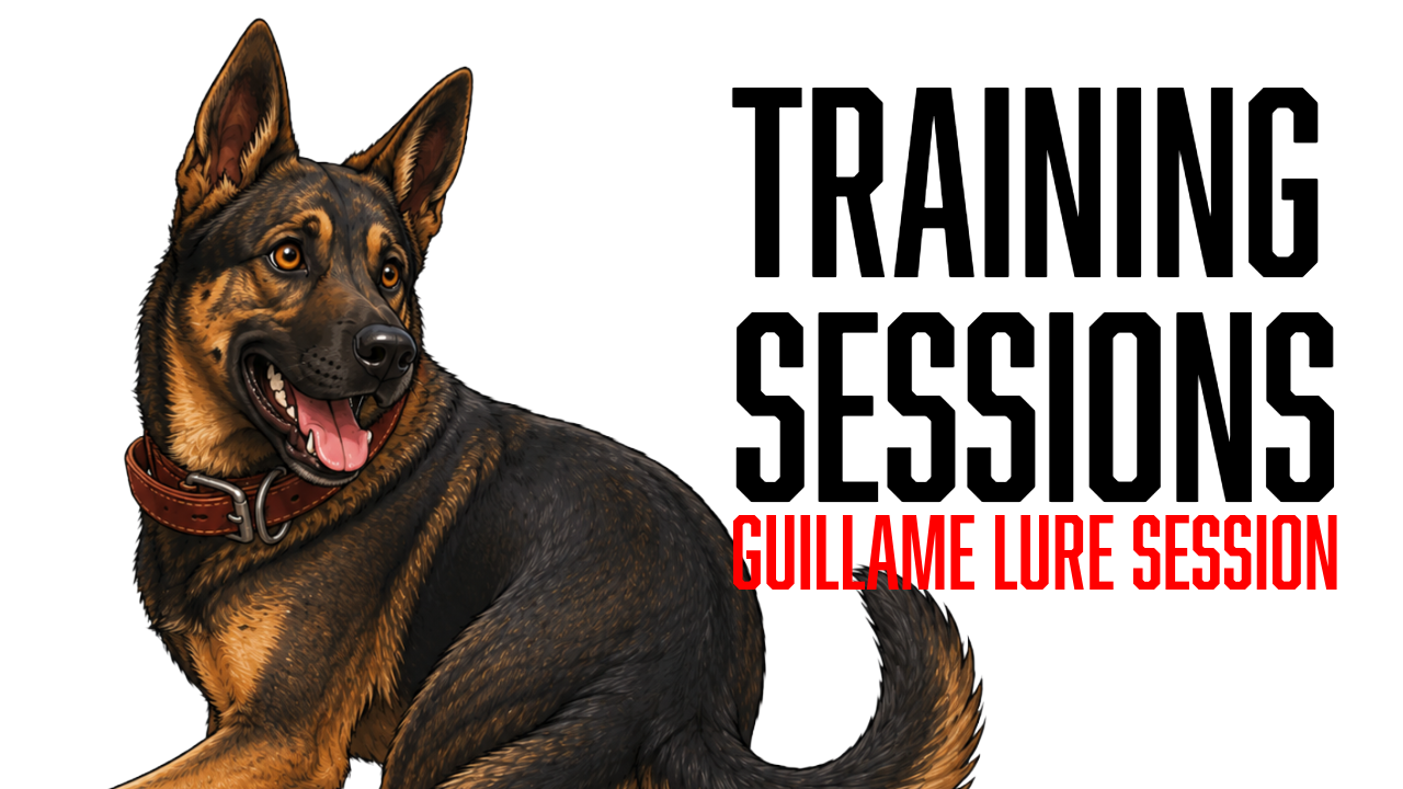 Building More Energy and Fluid Movement in Guillame’s Obedience