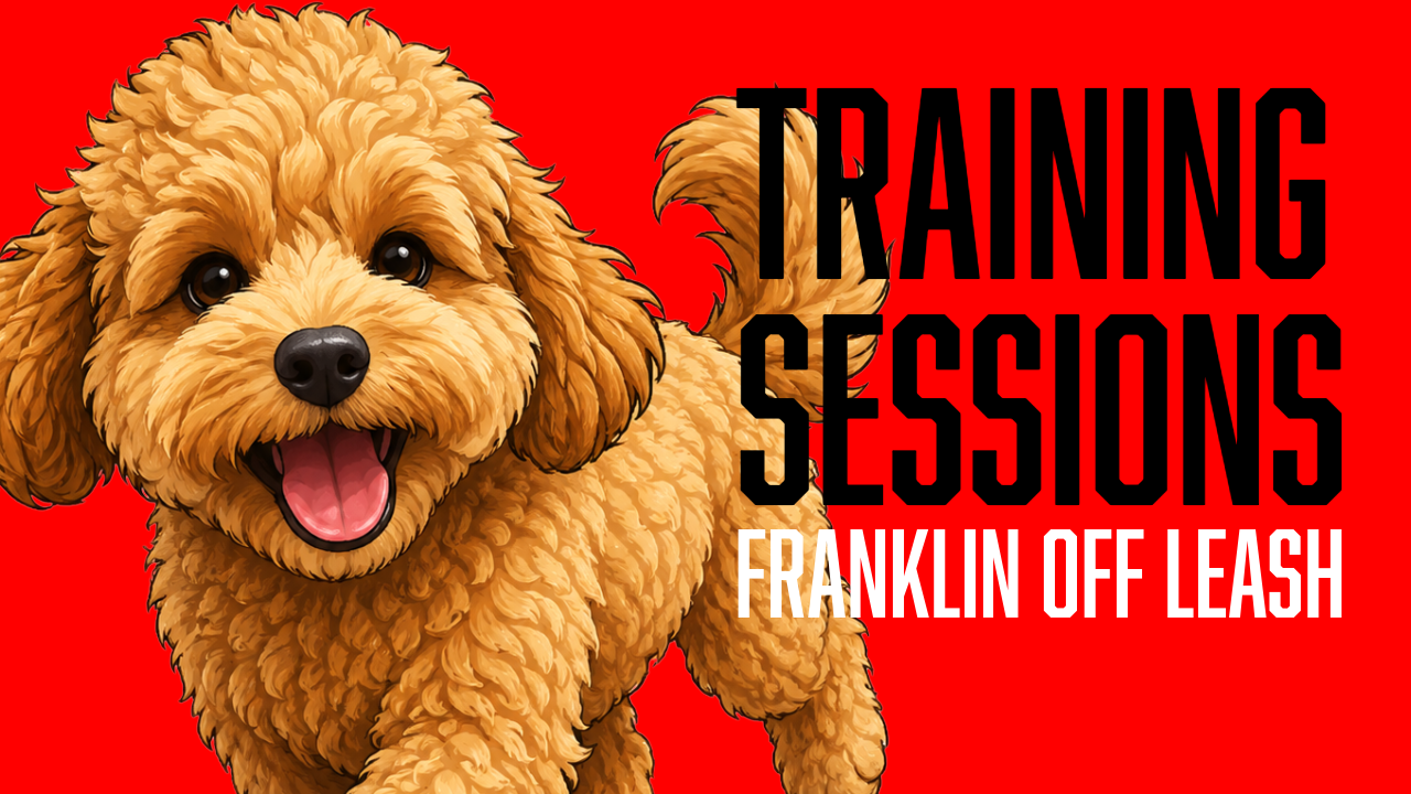 Franklin’s Final Off-Leash Session Before Going Home