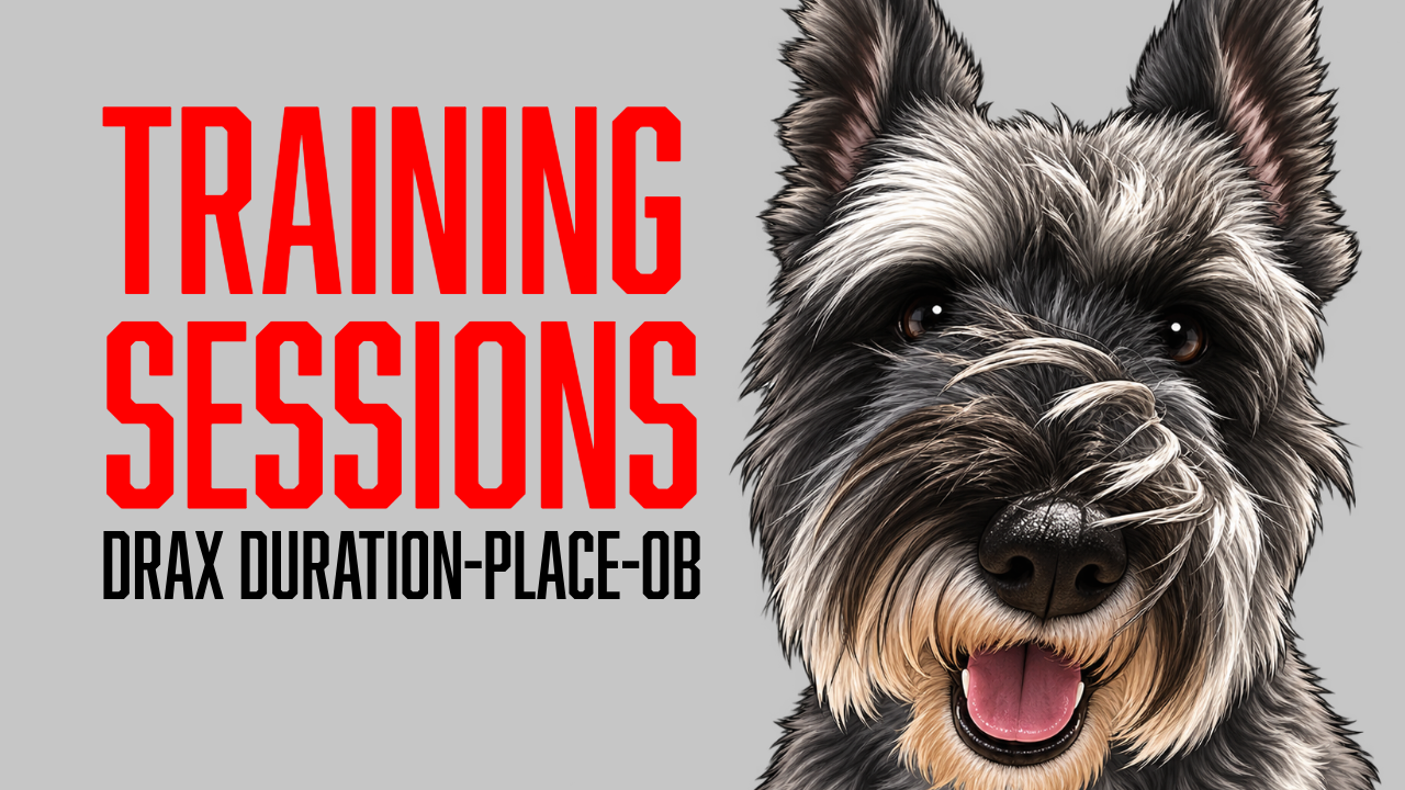 Building Reliable Obedience: Compounding Drax's Training