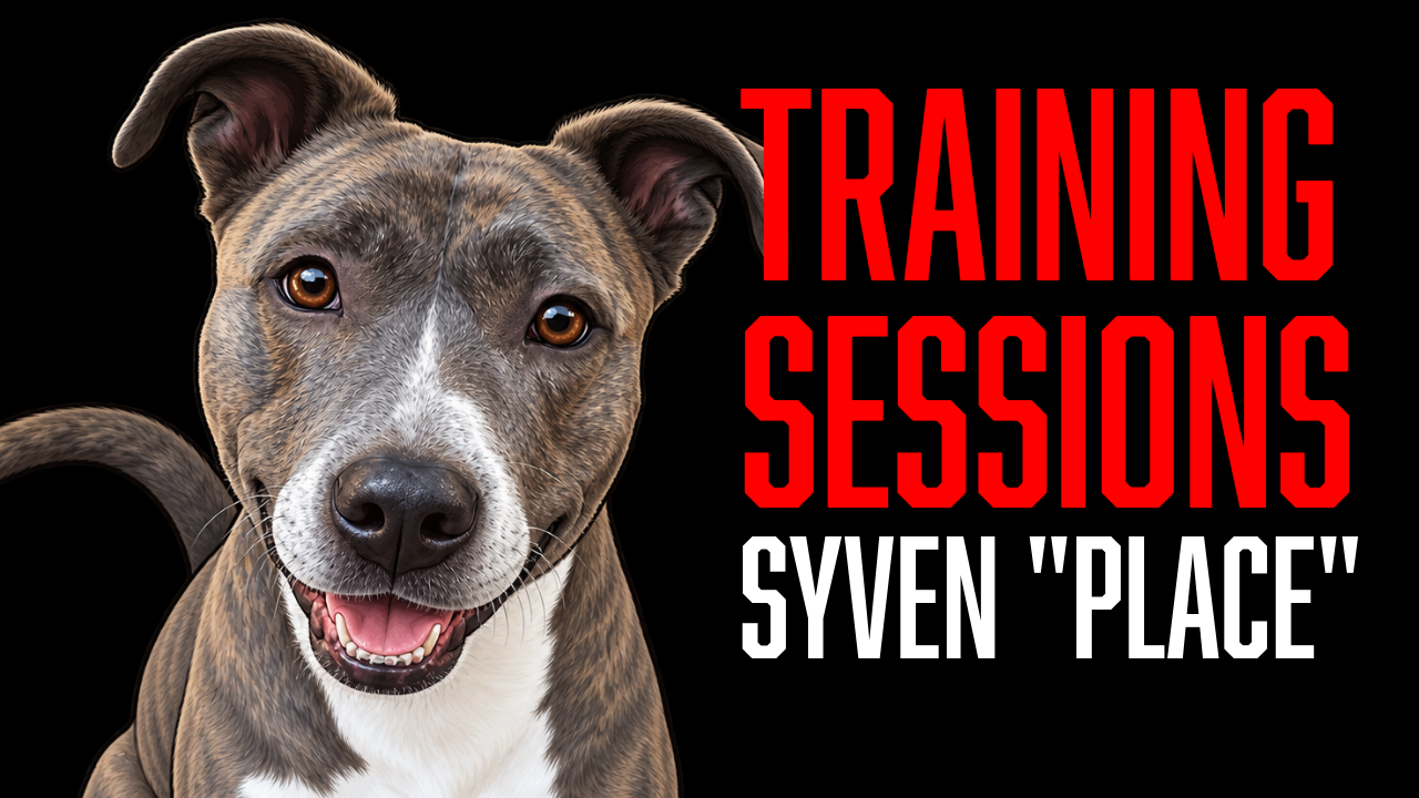 From Shaping to Place: Syven Continues Building Her Obedience