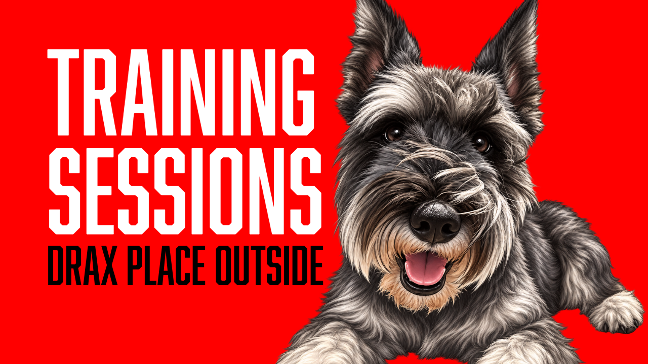 Off-Leash Place Training with Drax: Building Verbal Communication for the Real World