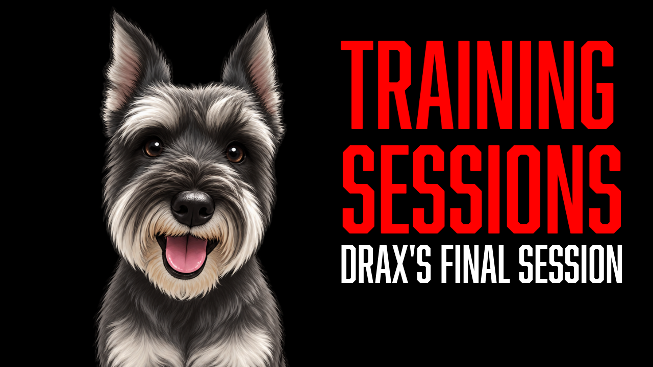 Drax’s Final Training Session Before Heading Home