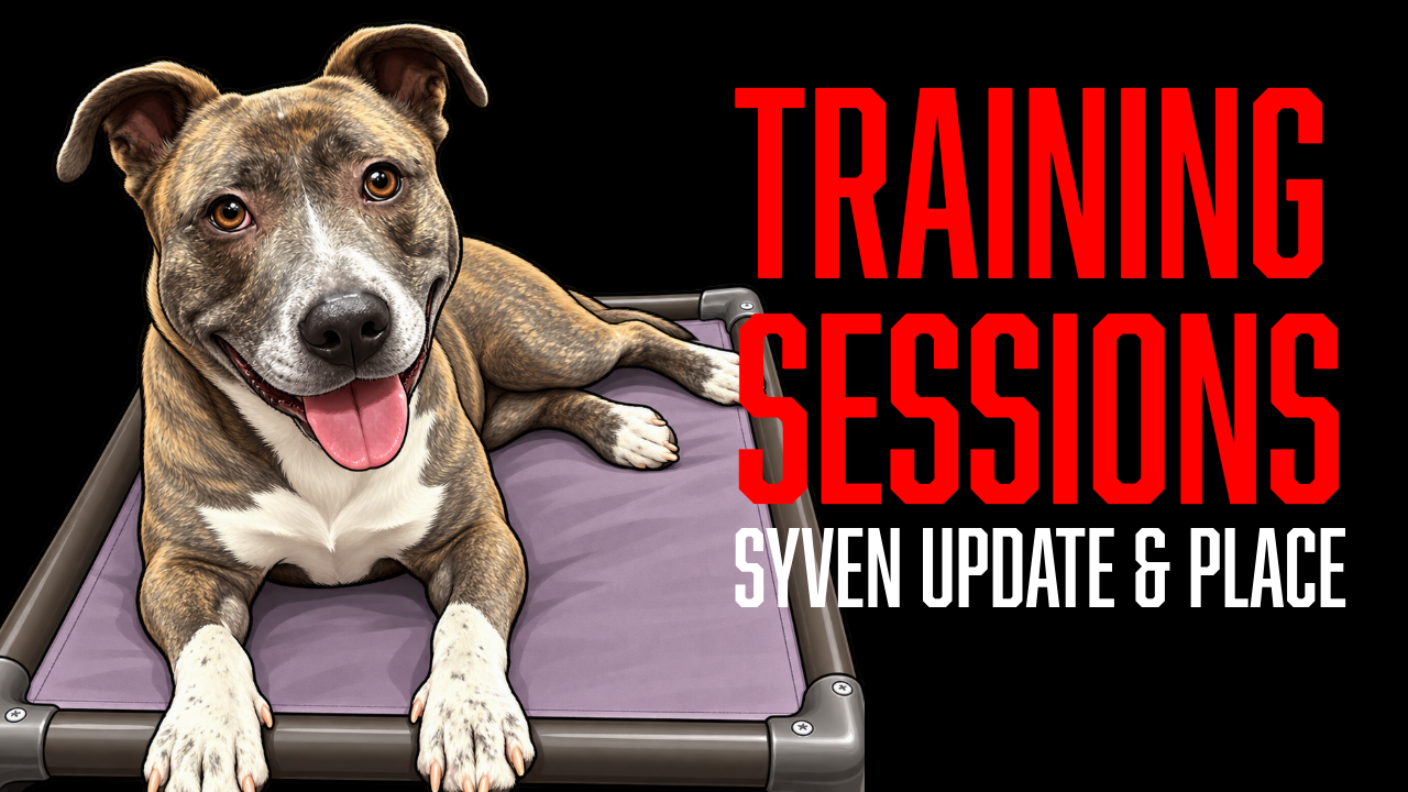 Good News for Syven: Surgery, Training &amp; Adoption Update