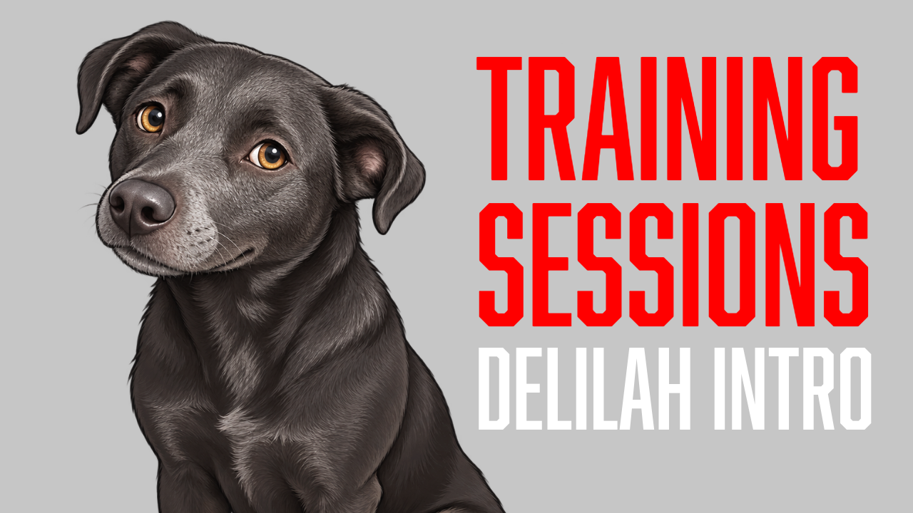 Building Trust With Delilah: Why Sometimes Training Means Doing Less