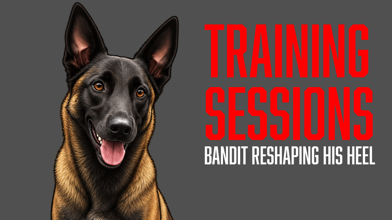 Why We’re Reshaping Bandit’s Heel