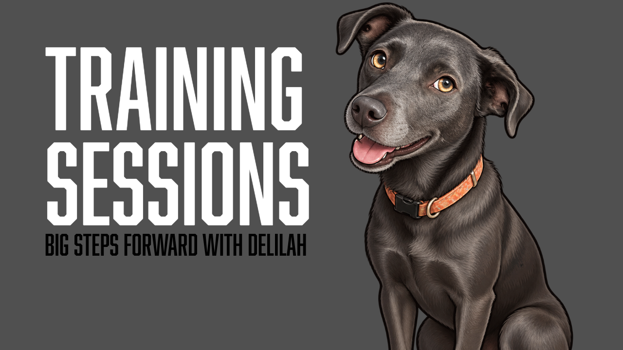 Delilah’s Breakthrough: Building Trust, Engagement, and the Foundation for Recall