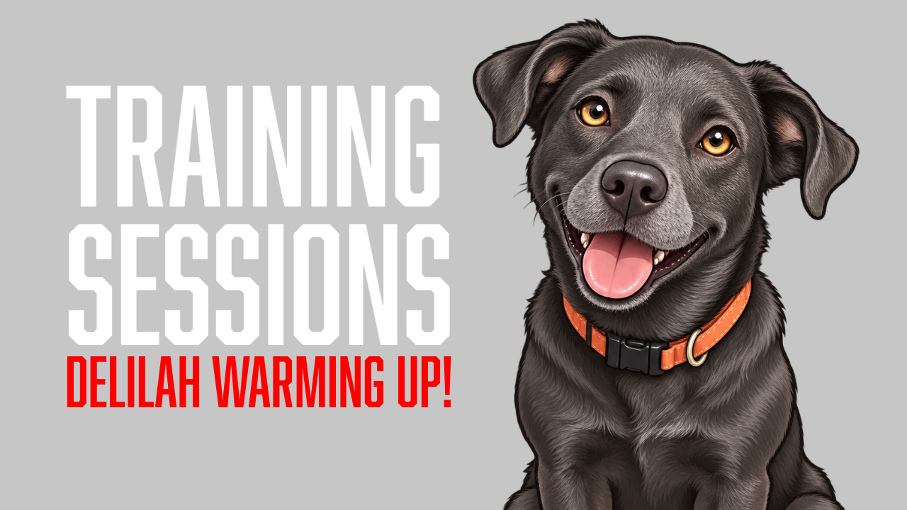Delilah Builds Confidence Through Short Recall Sessions