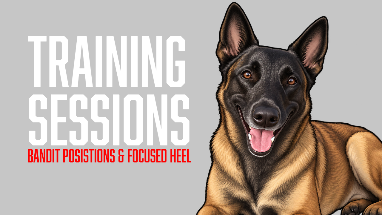 Bandit Builds More Precision in His Obedience Training