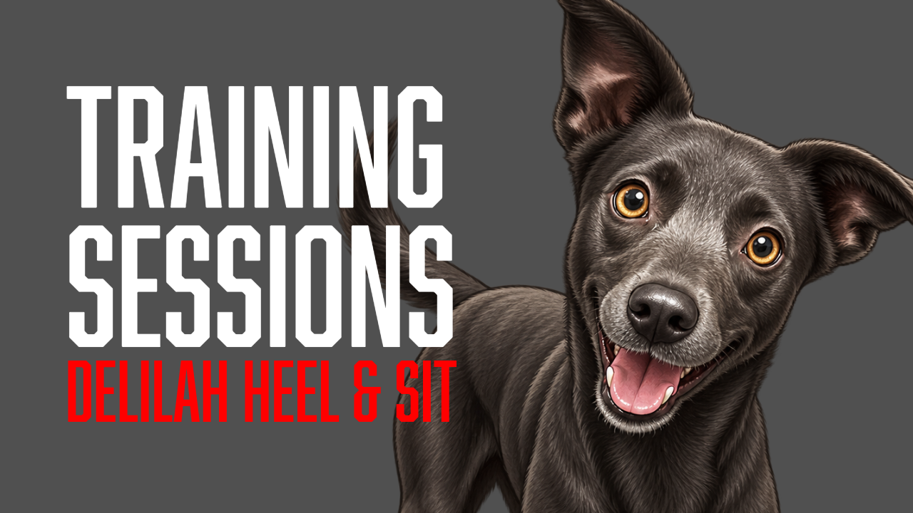 Delilah Has Her Best Training Session Yet After Just One Week
