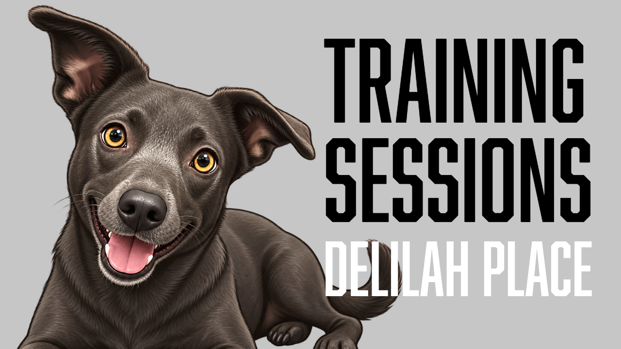 Delilah Starts Learning Place in New Environments
