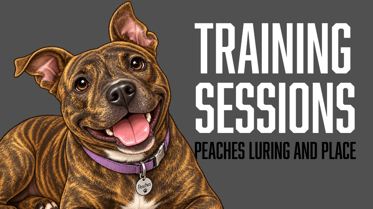 Peaches Builds Engagement, Body Awareness, and Place Training Foundations