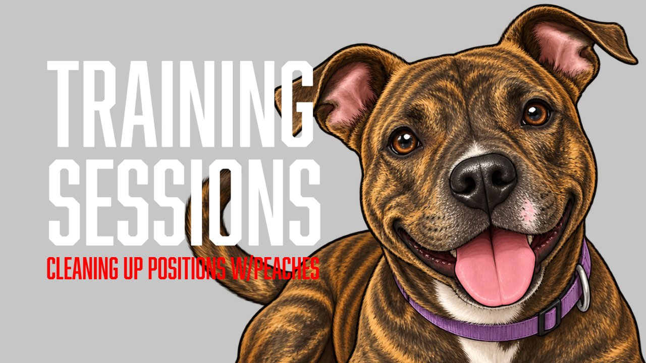 Peaches Builds Cleaner Sit and Down Positions With a Position Box