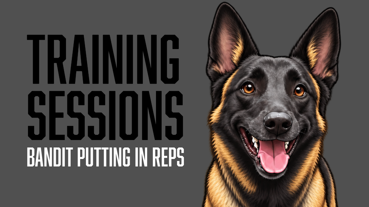 Bandit Builds Off-Leash Reliability While Learning When to Call It a Day