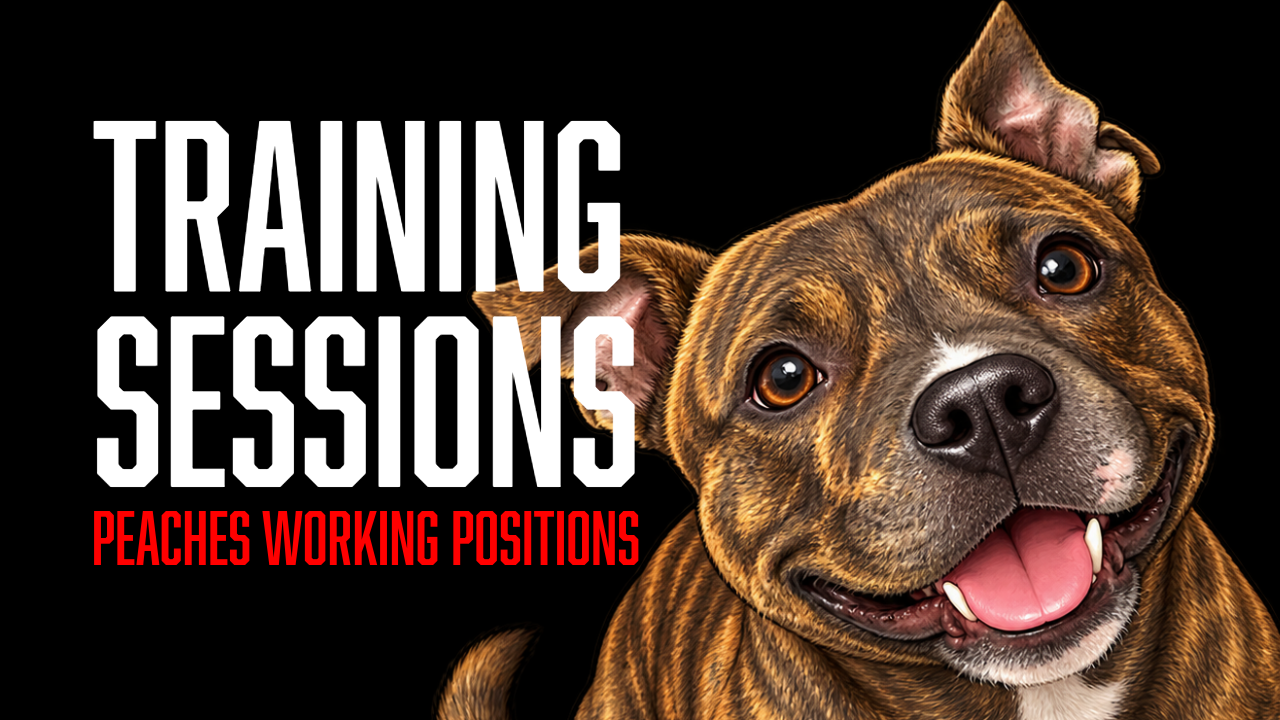 Peaches Cleans Up Heel-Side Commands With Position Box Training