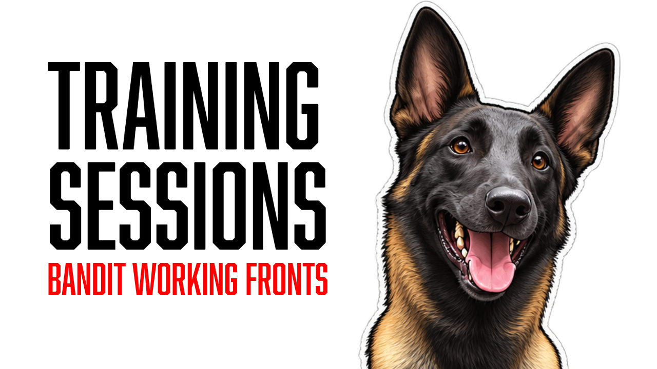 Bandit Cleans Up His Front Position With Position Box Training