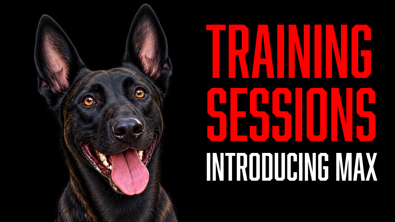 Meet Max: Our New Executive Protection Raise &amp; Train From Holland
