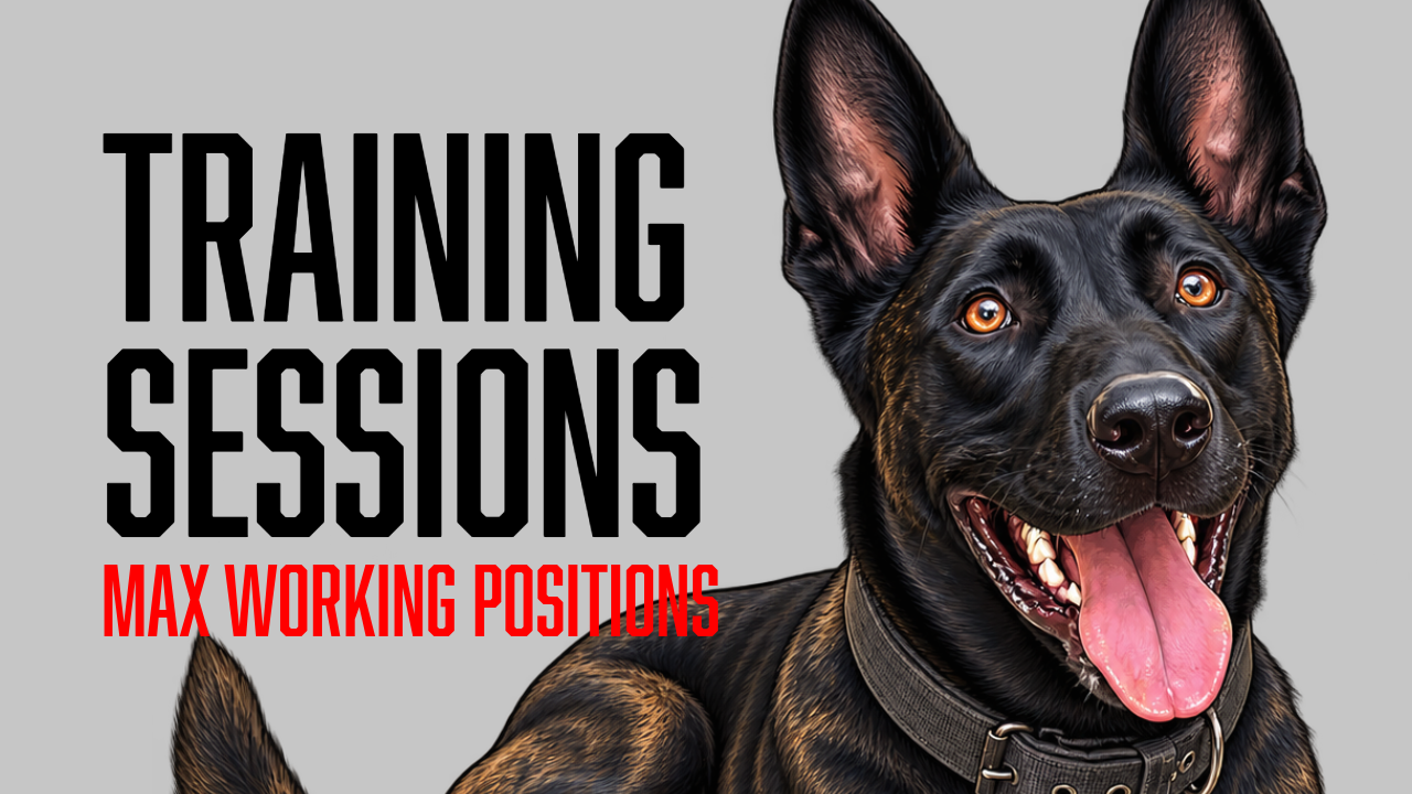 Building Cleaner Sit, Stand, and Down Positions With Max