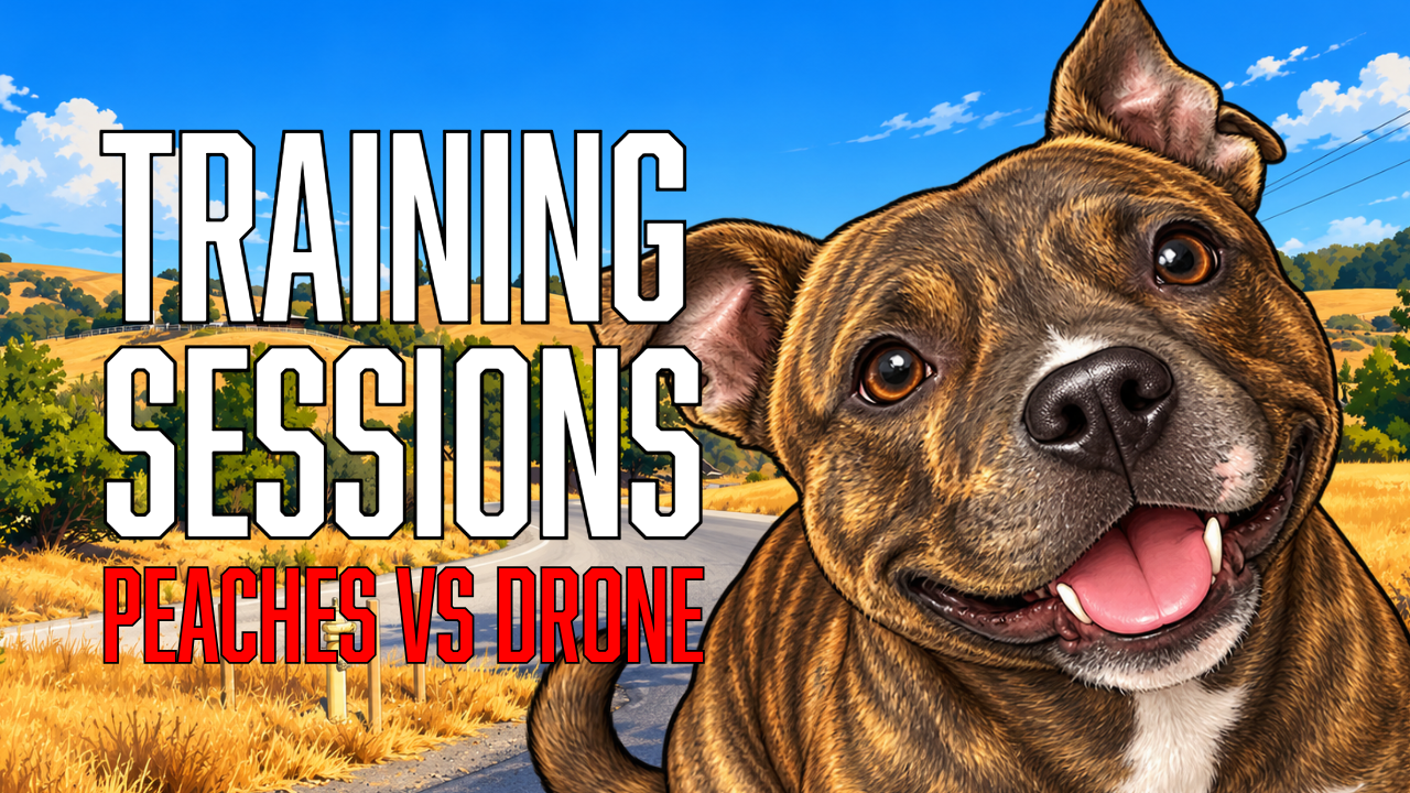 Using a Drone as a Real-World Dog Training Distraction With Peaches
