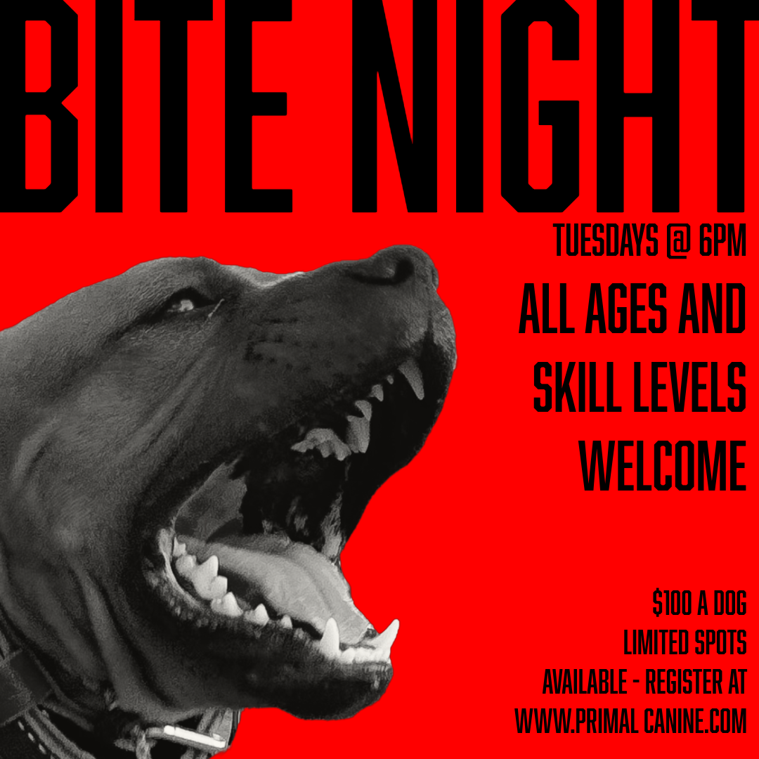 Bite Night 11/11