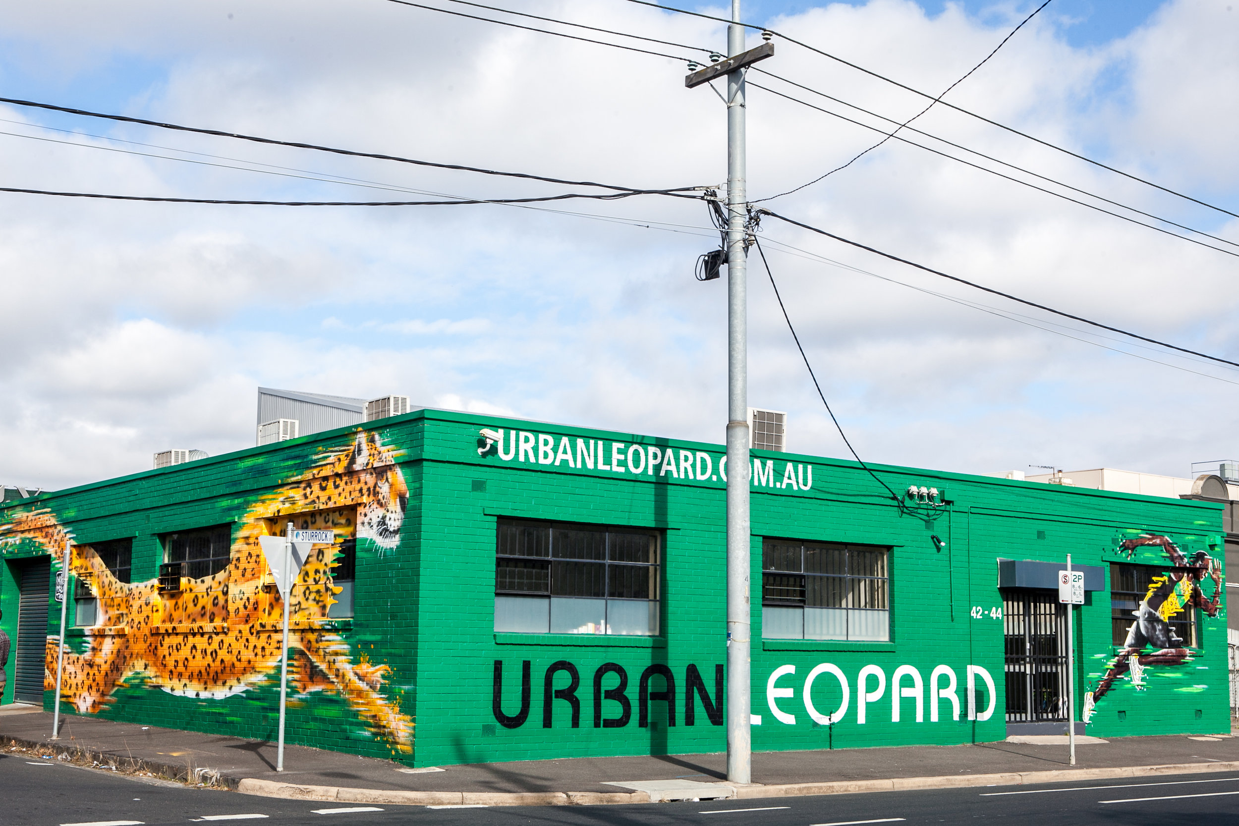 Urban Leapord-5402.jpg