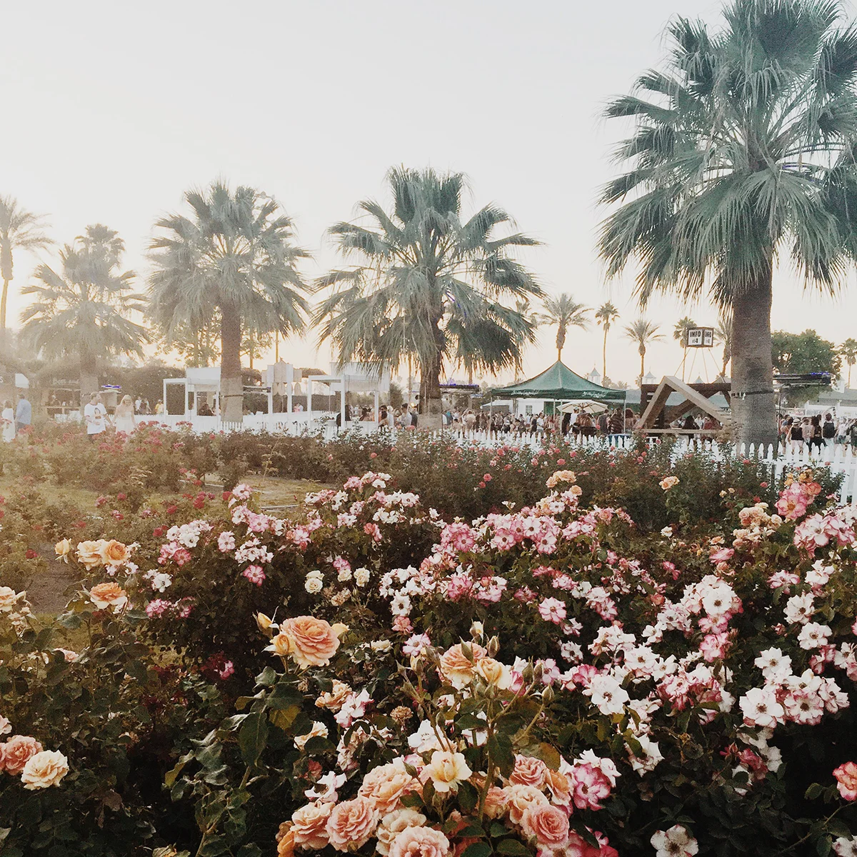 VIP Rose Garden in Coachella
