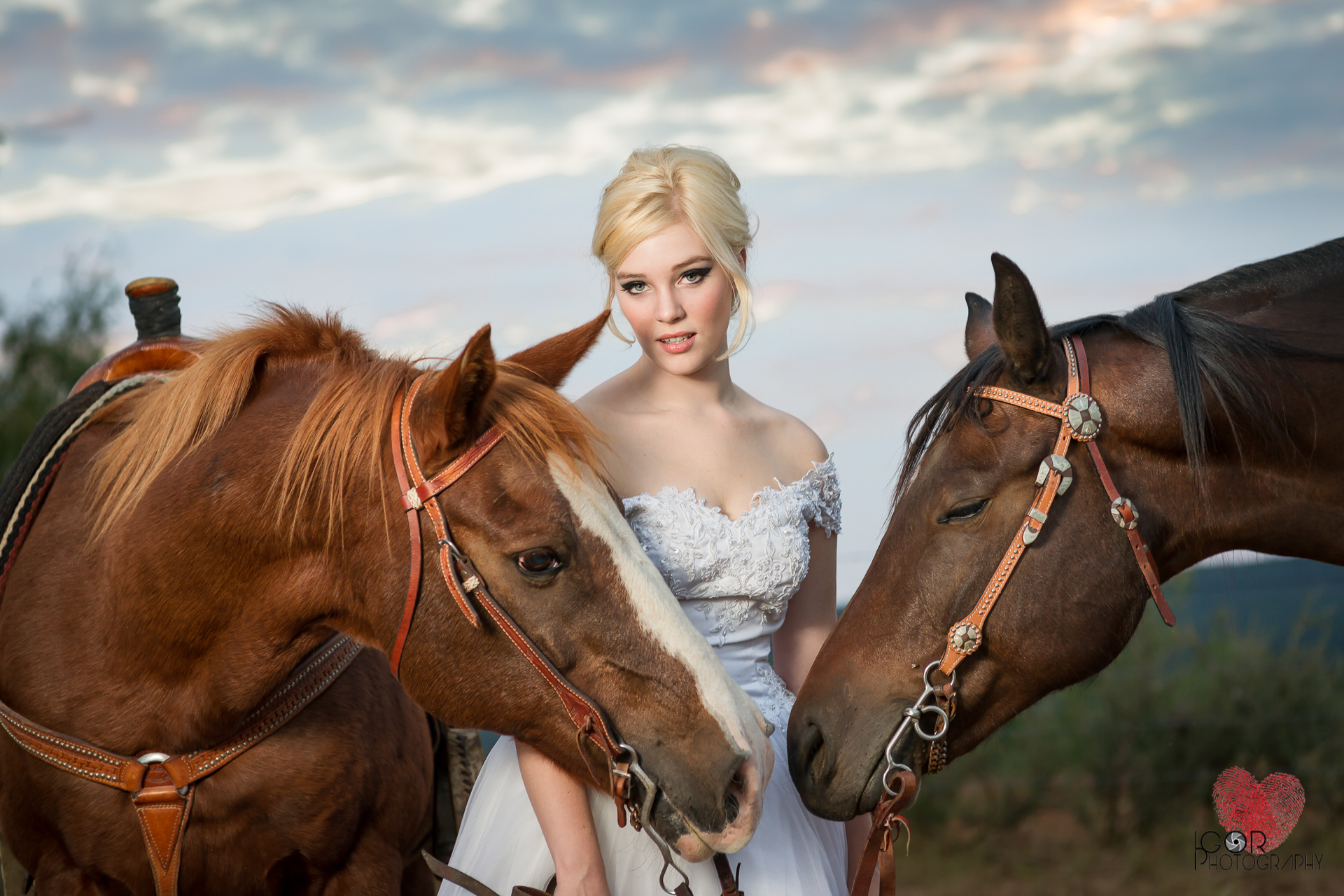 Kate-Colby-Horse-26.jpg