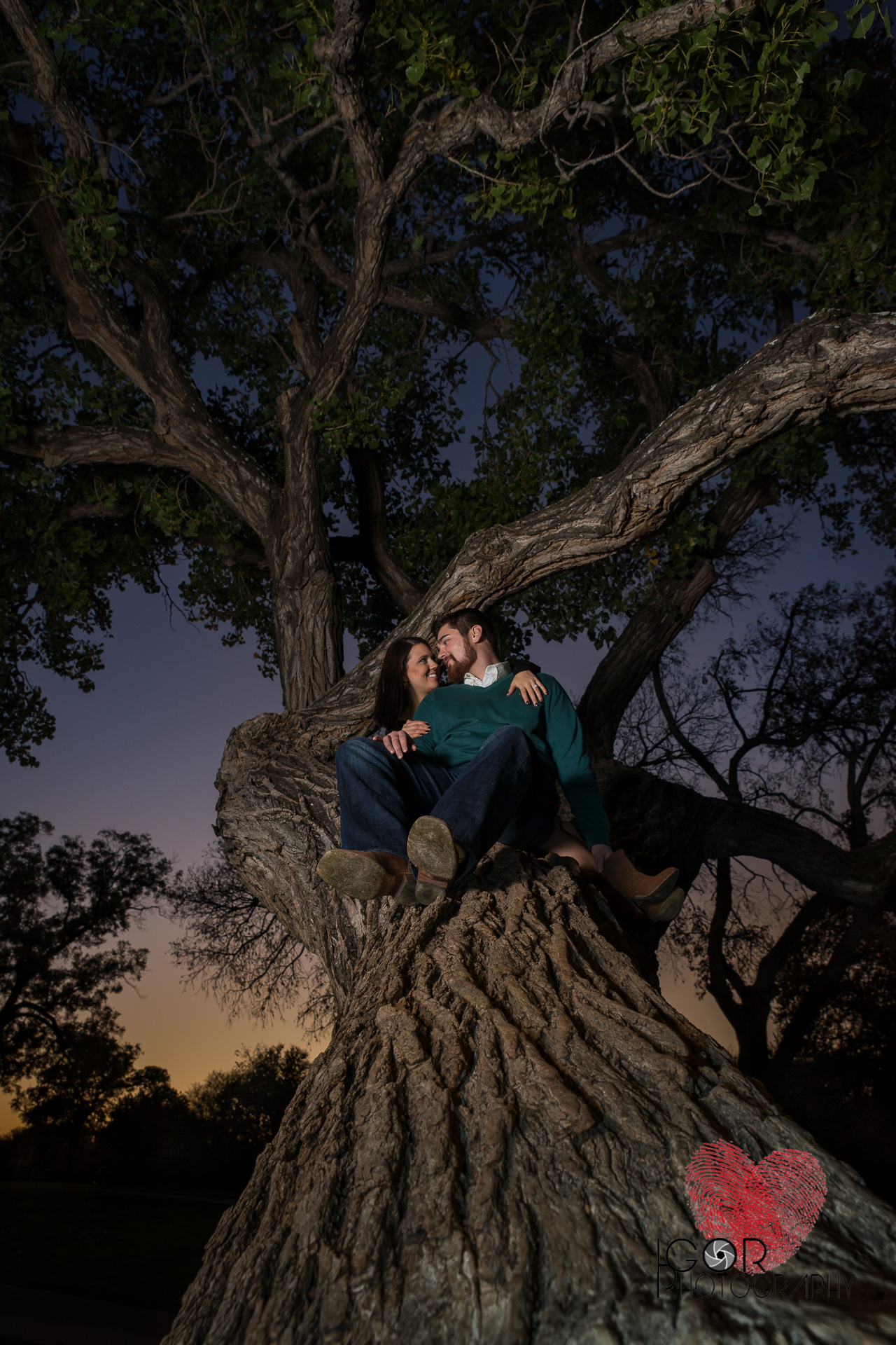 Climbing tree engagement photo