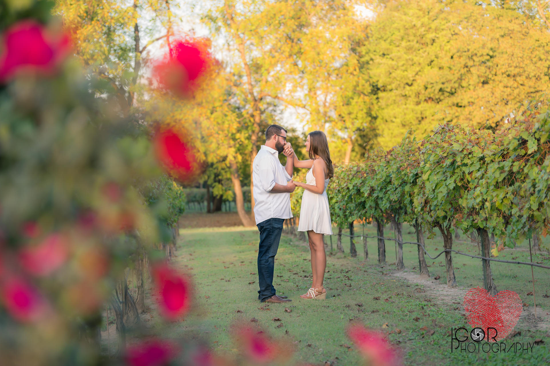 Romantic Engagement Photos