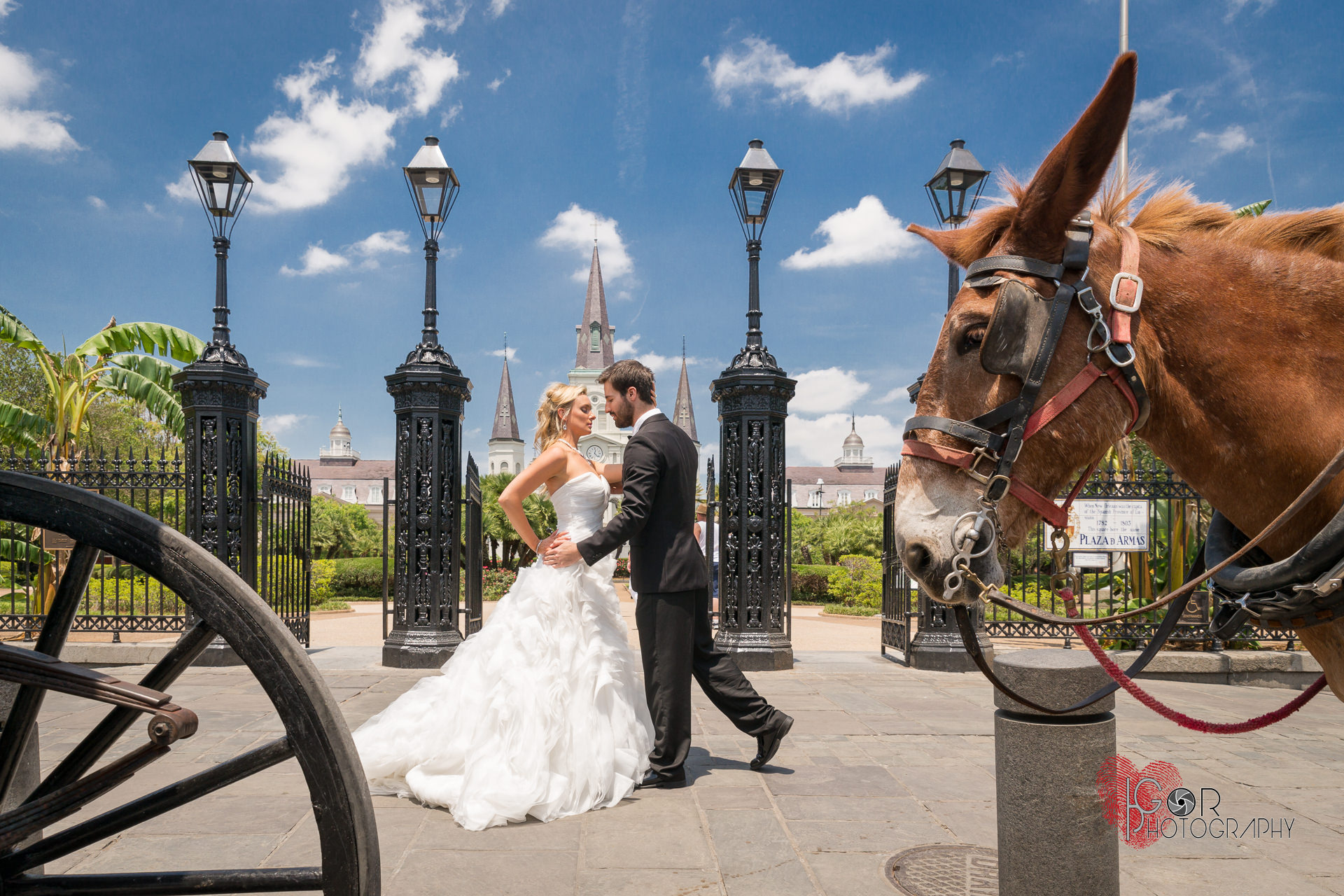 Jackson Square wedding photosJac