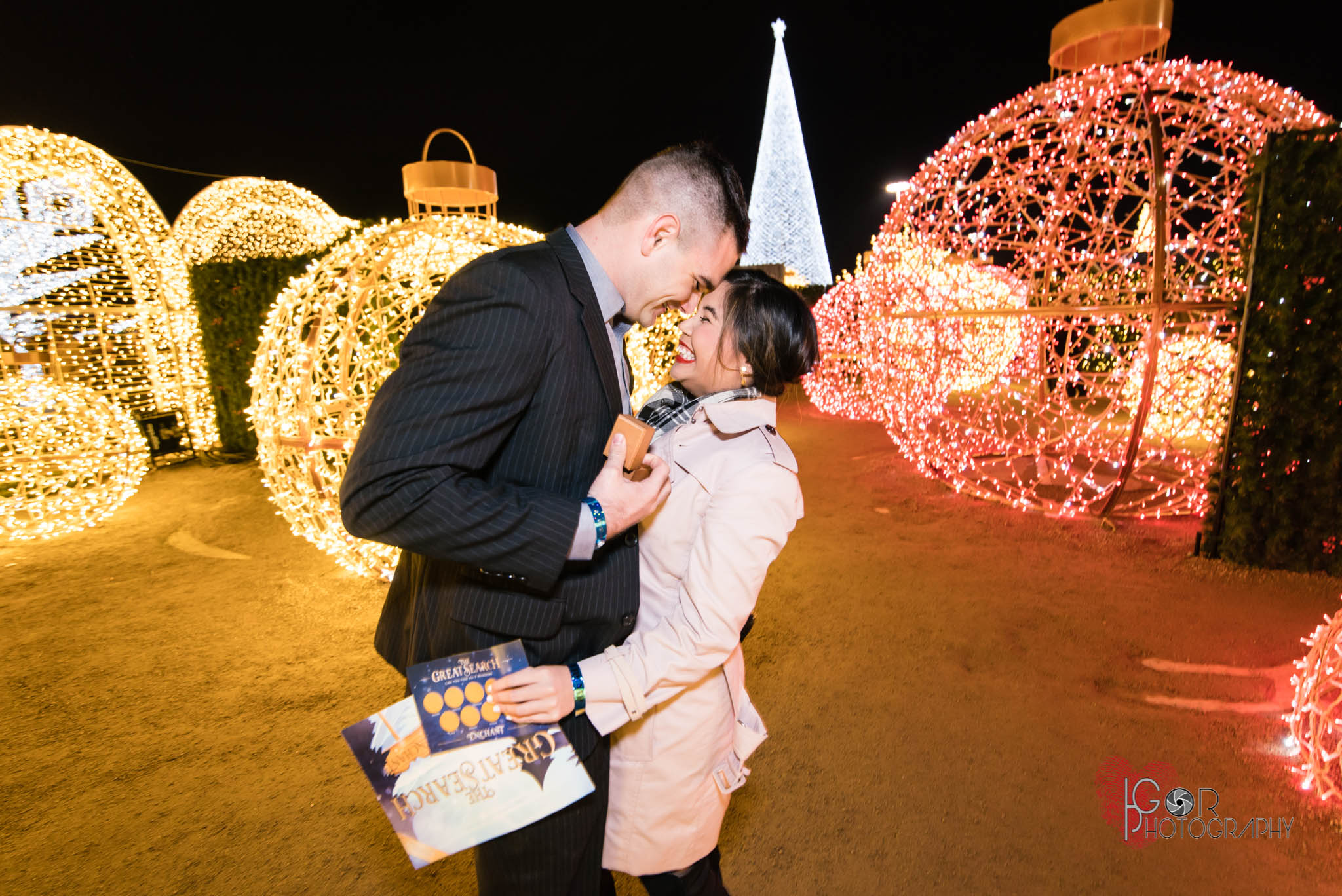 Proposal photography in Arlington