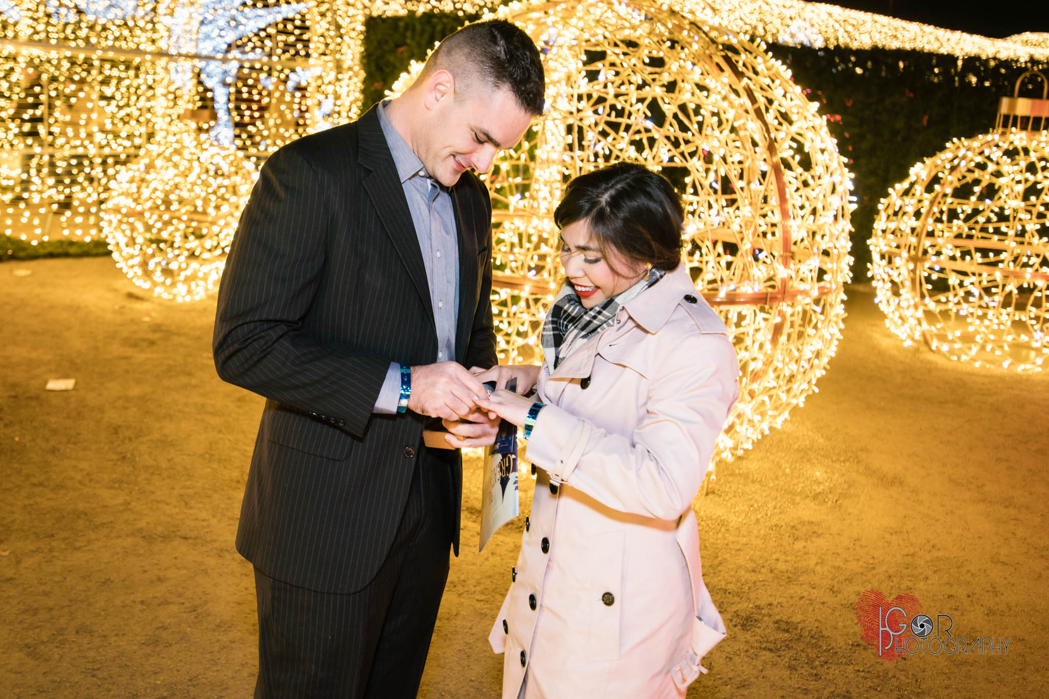 Christmas proposal photos