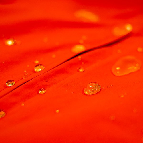 VENTILE / UNITED KINGDOM Ventile®, originally designed in the UK, is densely woven from 100% cotton using the world’s finest long staple fibre. Ventile® is not coated or laminated yet the combination of the dense weave and the swelling properties of the fibres when wet provide excellent weatherproofing. It is an entirely natural product that offers a unique level of comfort, look and feel as well as being windproof, highly breathable, very durable and quiet. www.ventile.co.uk