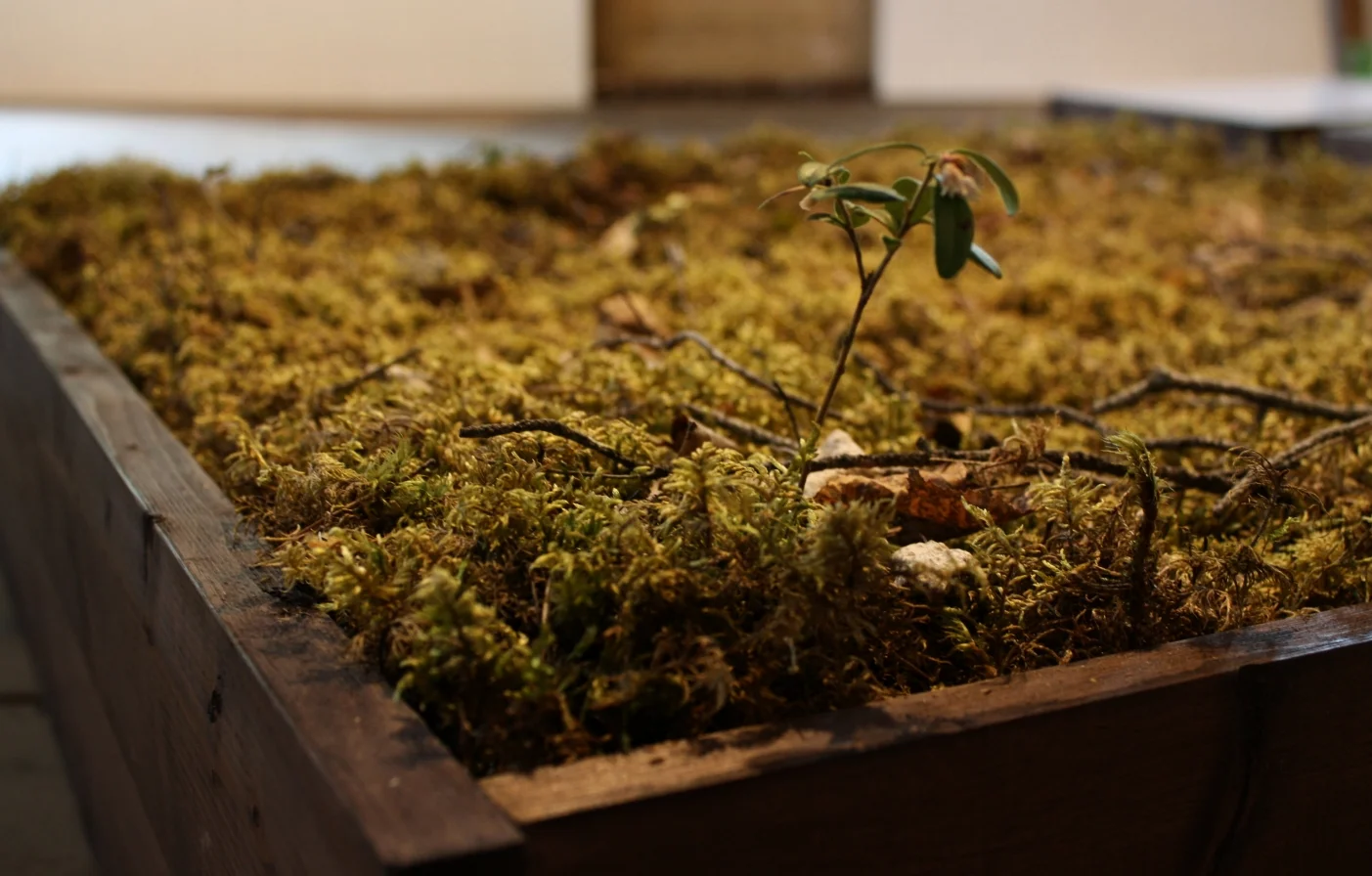 1:1, Harpefoss Hotell. 2016.