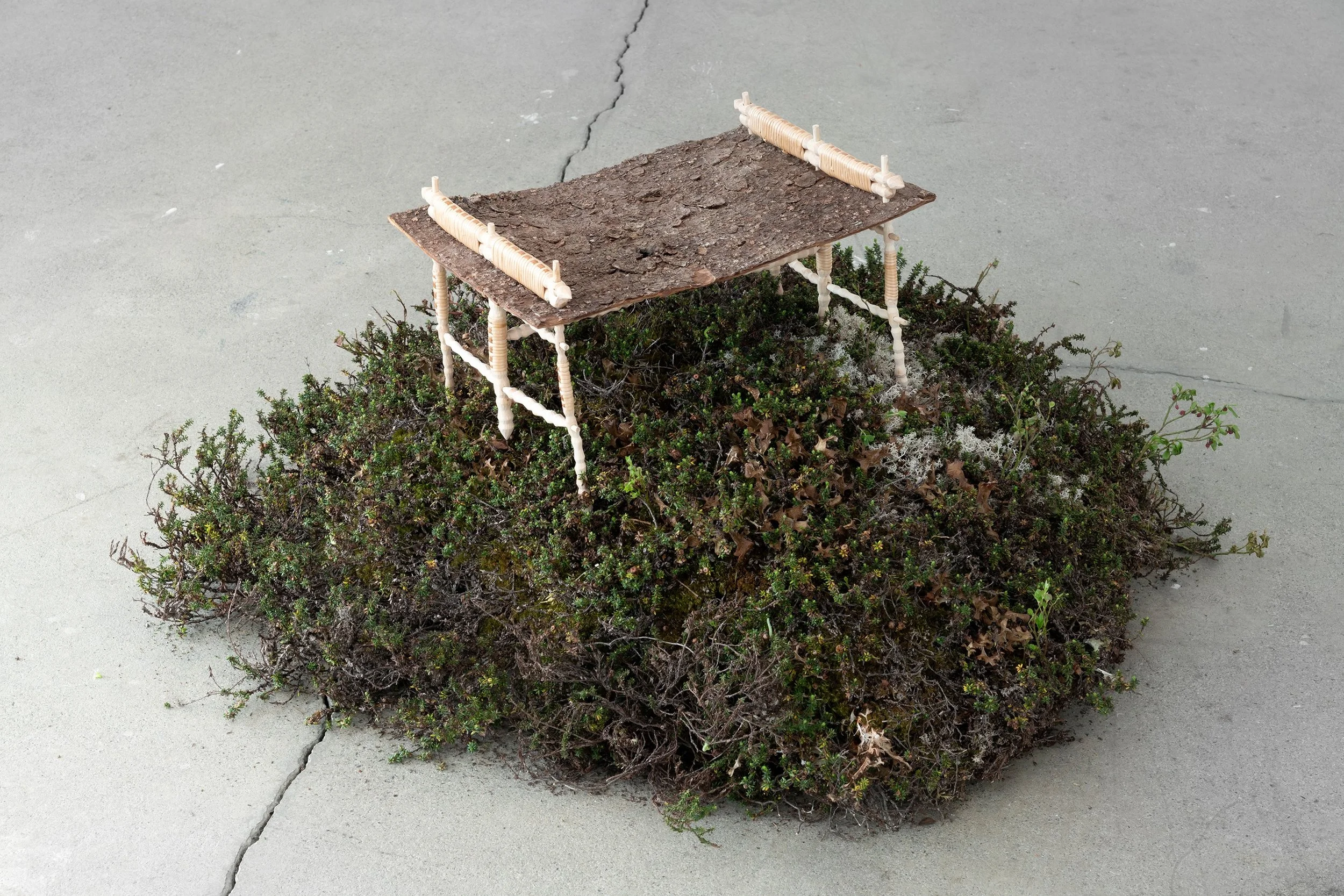 Becoming Imperceptible(2024) title of solo exhibition