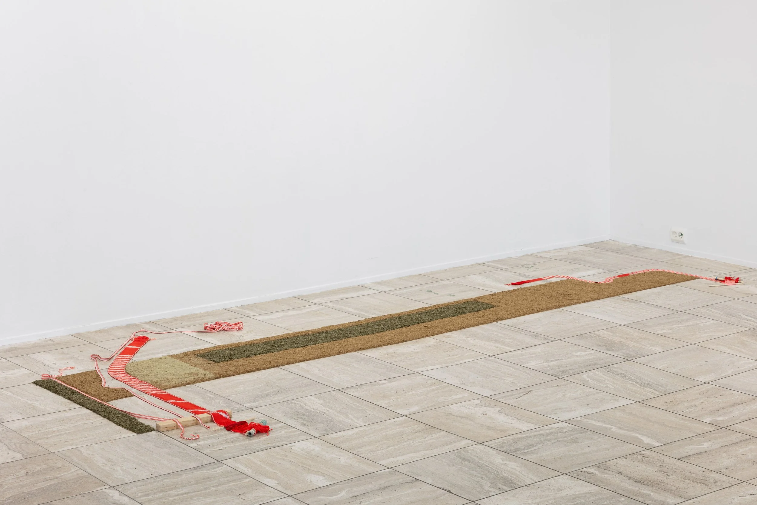 Lines of Intention (2025) Installation I