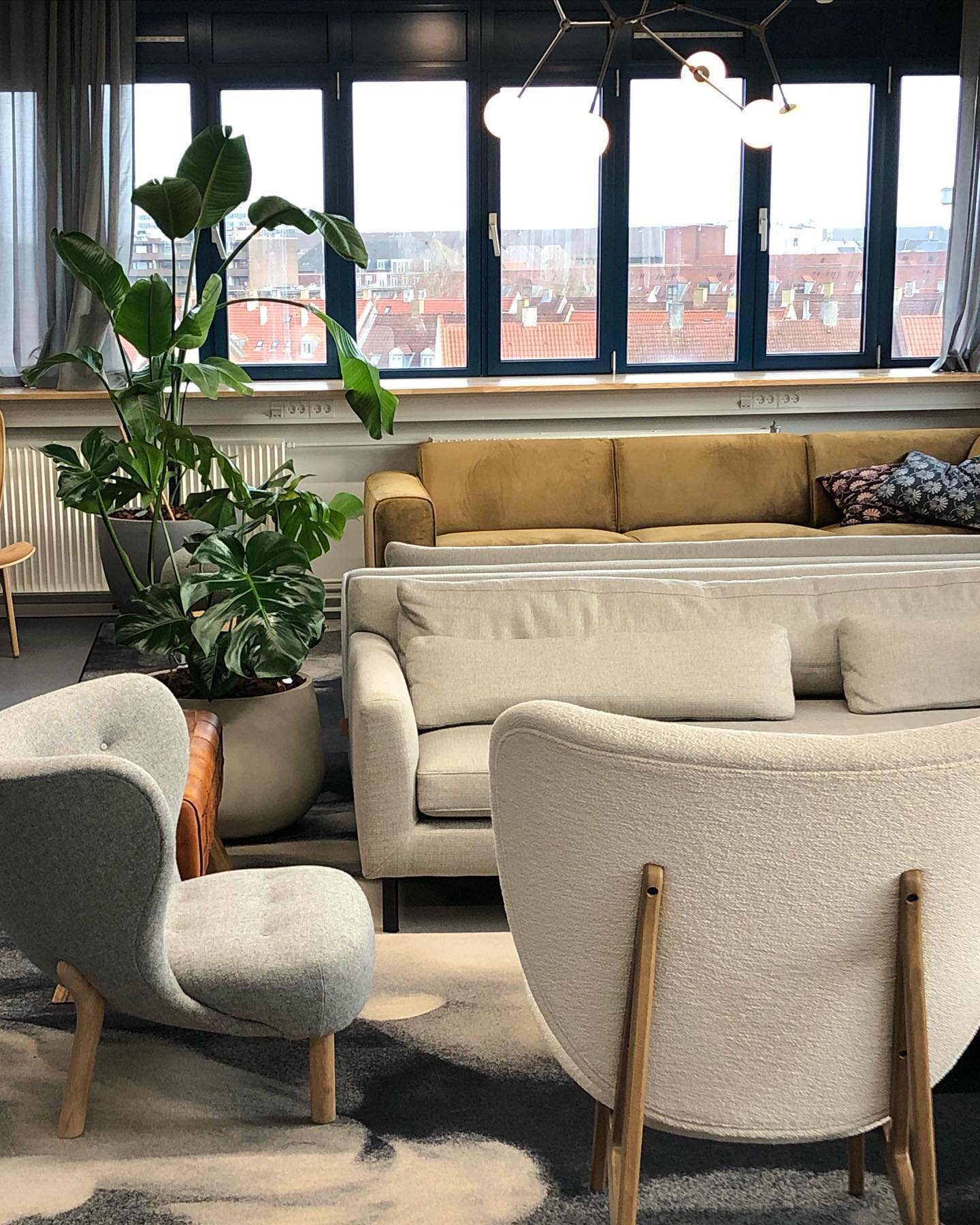 #carpetday full Project for amazing client finishing today - remote as we are in isolation 🦠😷 we got to build one of the most laid back office spaces yet / with hanging chairs / lounges and bespoke furniture to match the New York vibe in the huge b