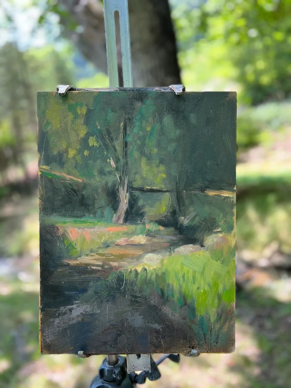 2023-E261_Good-Ashe-Creek_12x16 - 1 of 1.jpeg