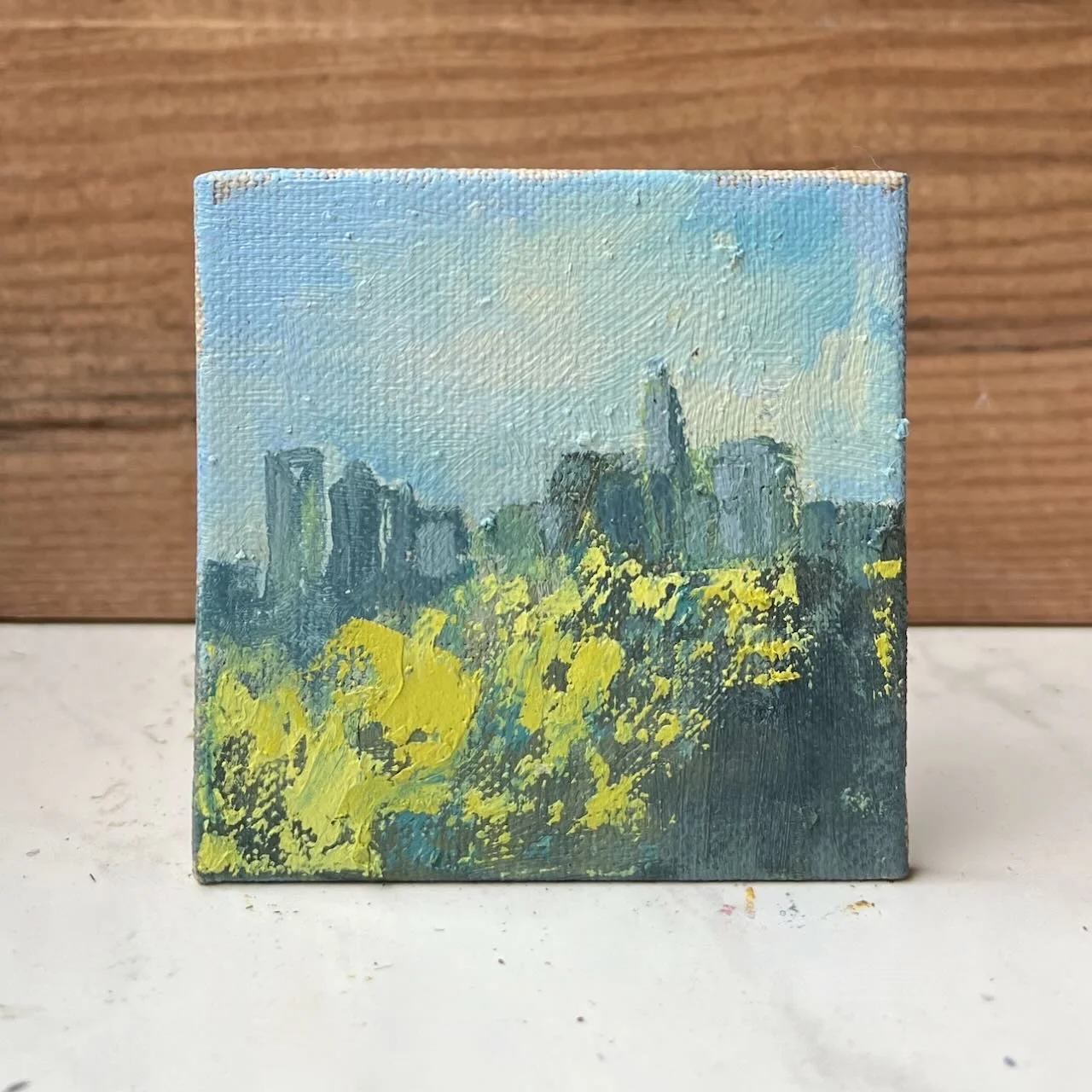 Tiny Skies 555, 3x3 ornament (2025) Charlotte