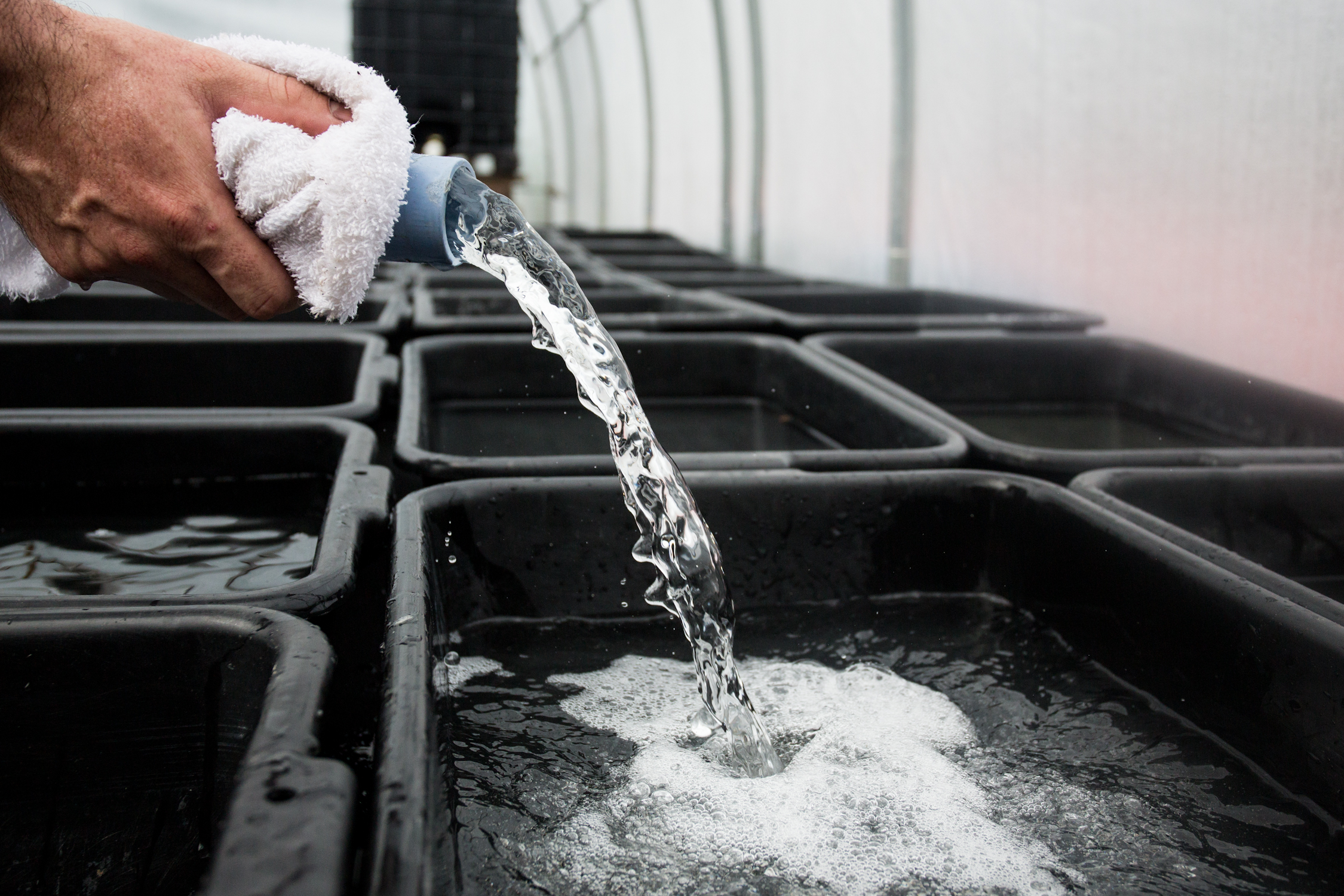 Ingredient List: Saltwater