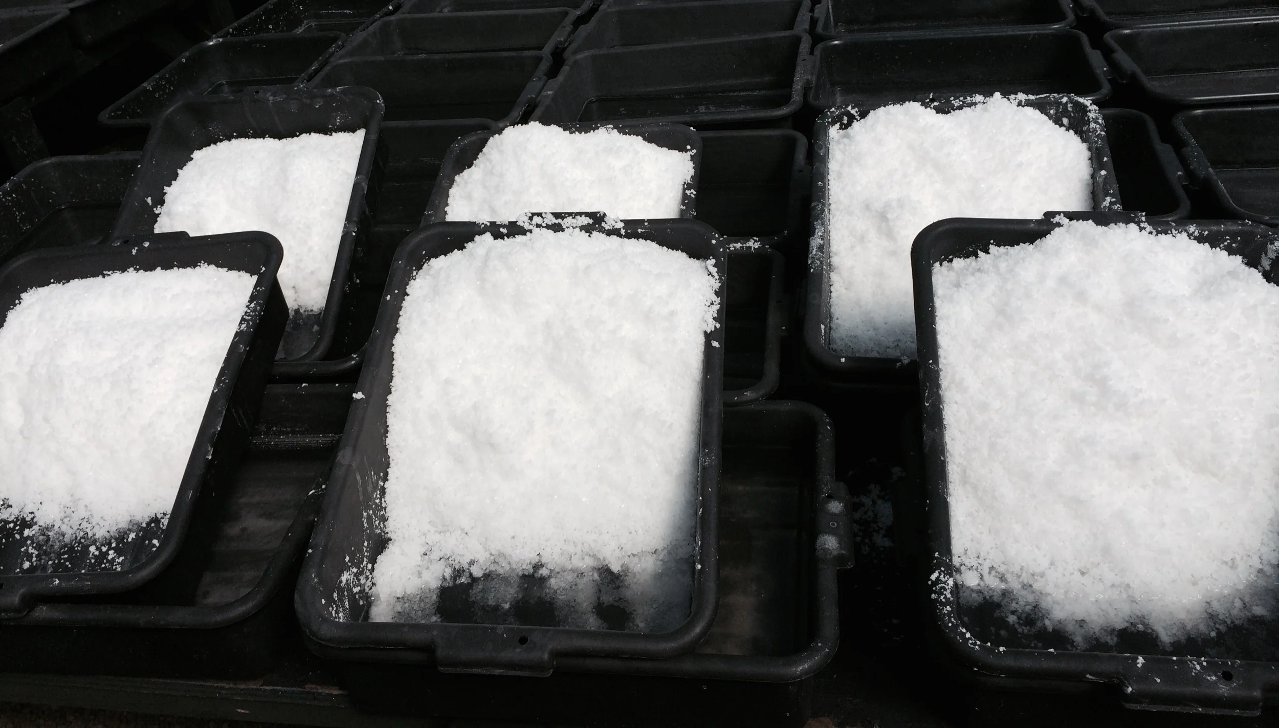 1,000 year flood and water quality