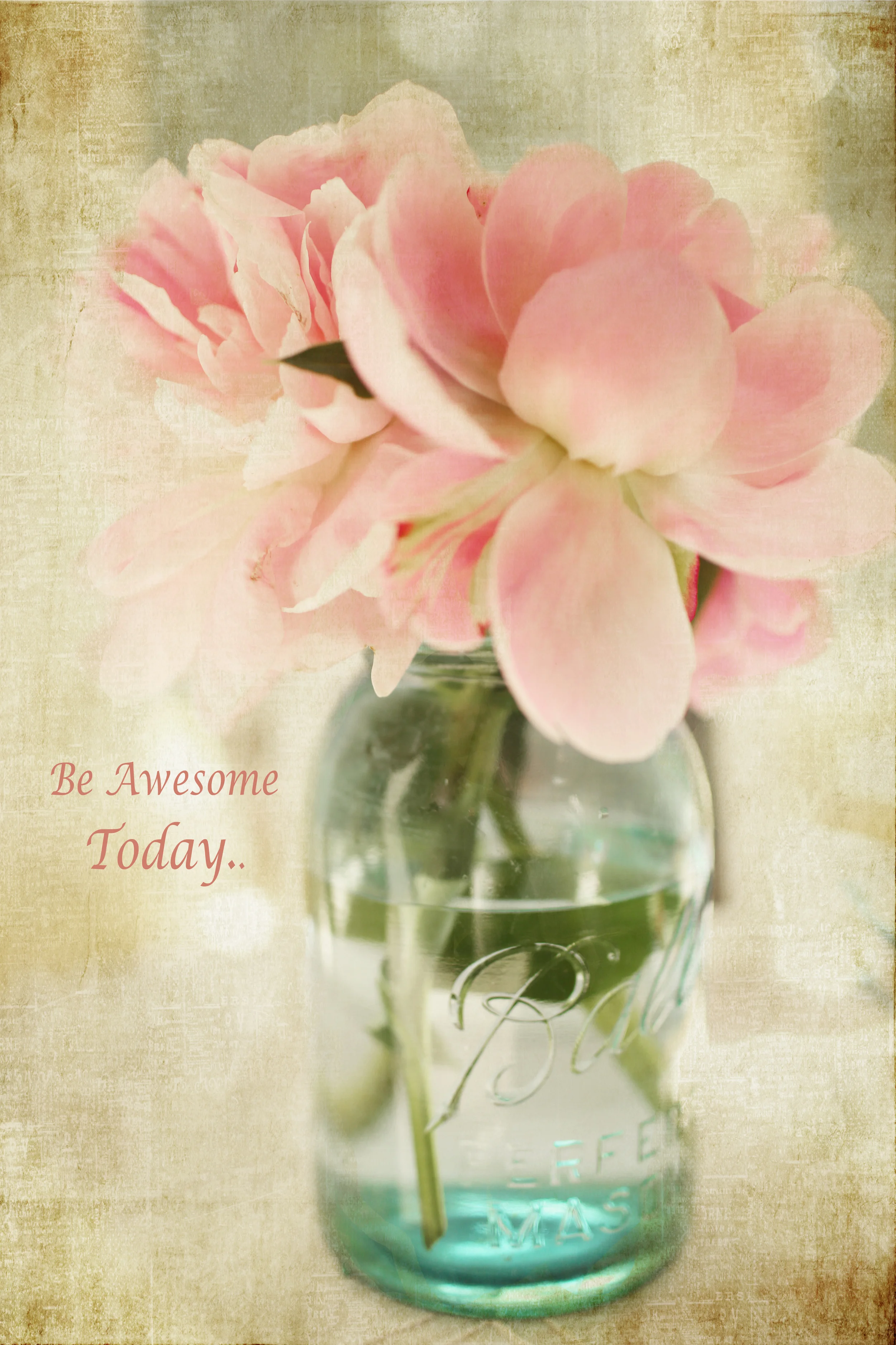 Peonies...