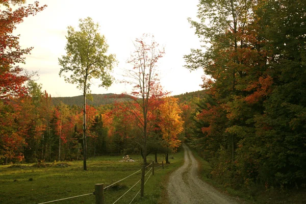 Country Road, Vermont...