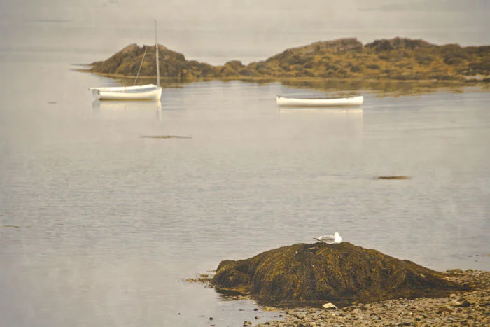 Goosenecks Beach Kennebunkport, Maine