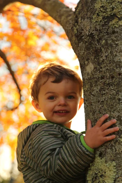 Climb a tree..enjoy the view..L.B
